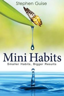mini habits stephen guise results